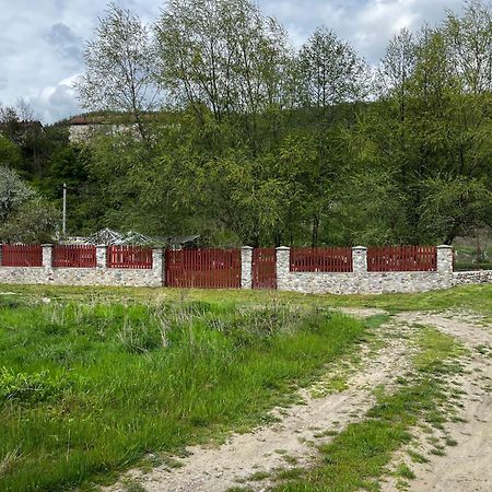 Hotel La Gradina Mehadija Exterior foto